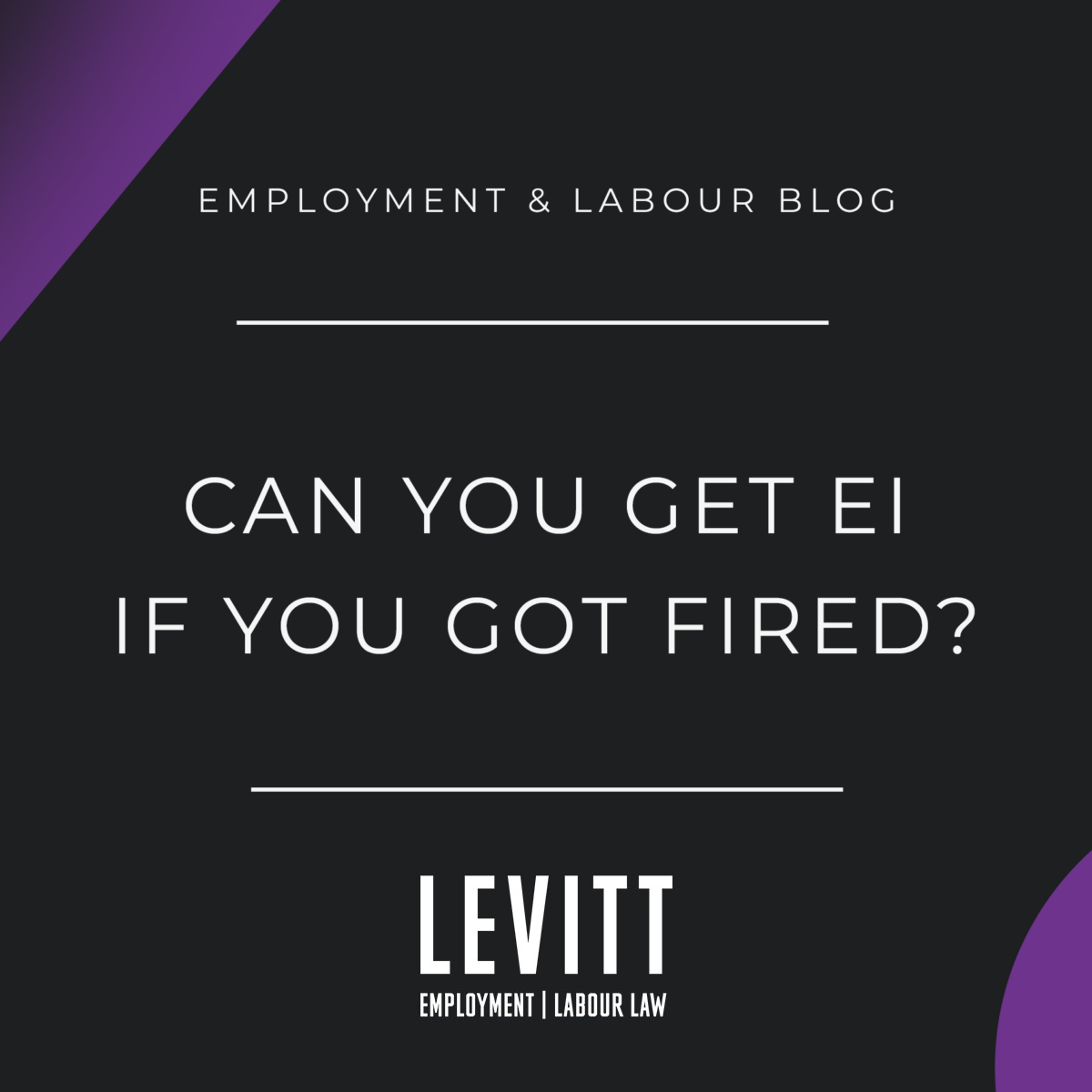 can-you-get-ei-if-you-got-fired-levitt-sheikh-employment-labour