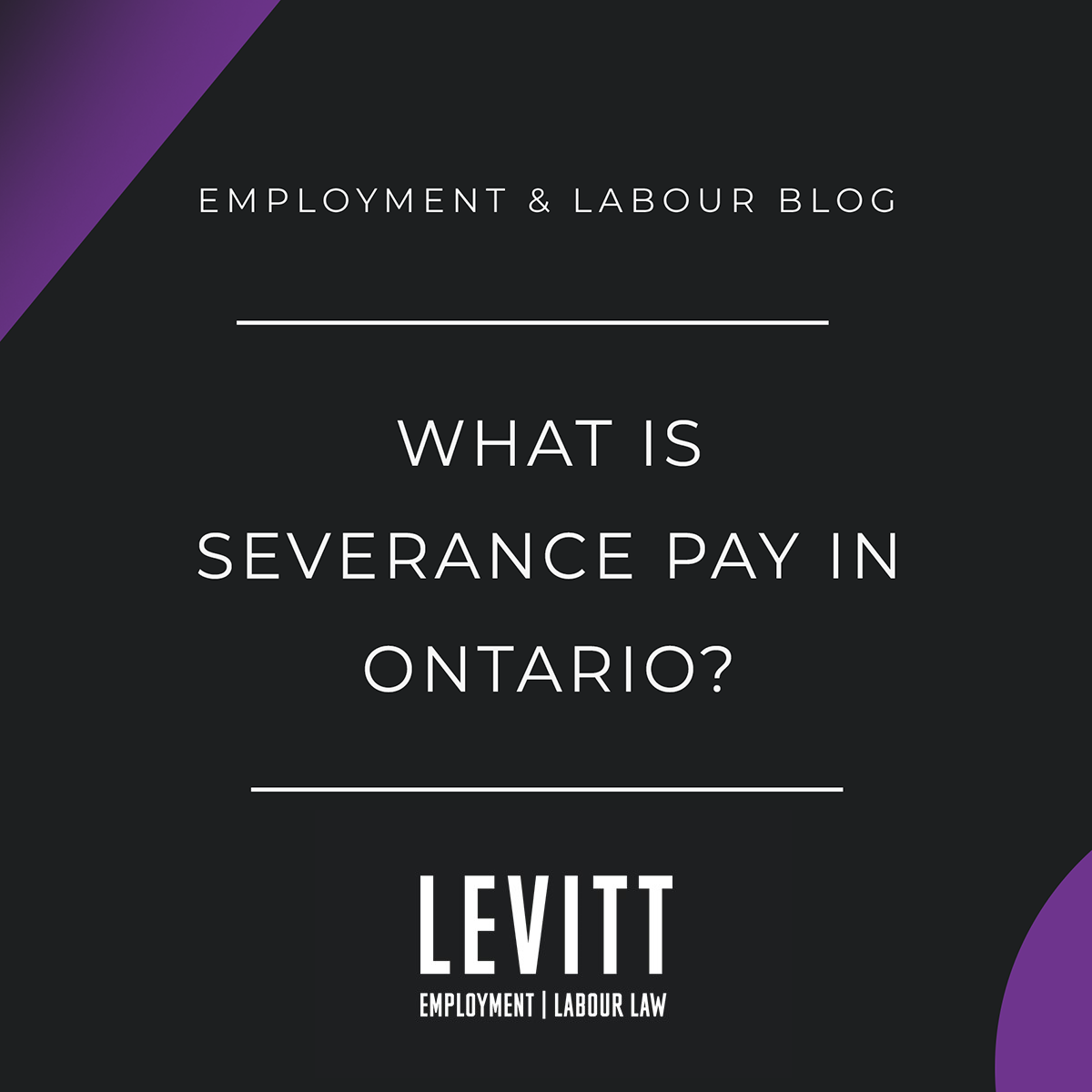 What is the Difference Between Termination and Severance Pay in Ontario? -  Levitt Sheikh Employment & Labour Lawyers