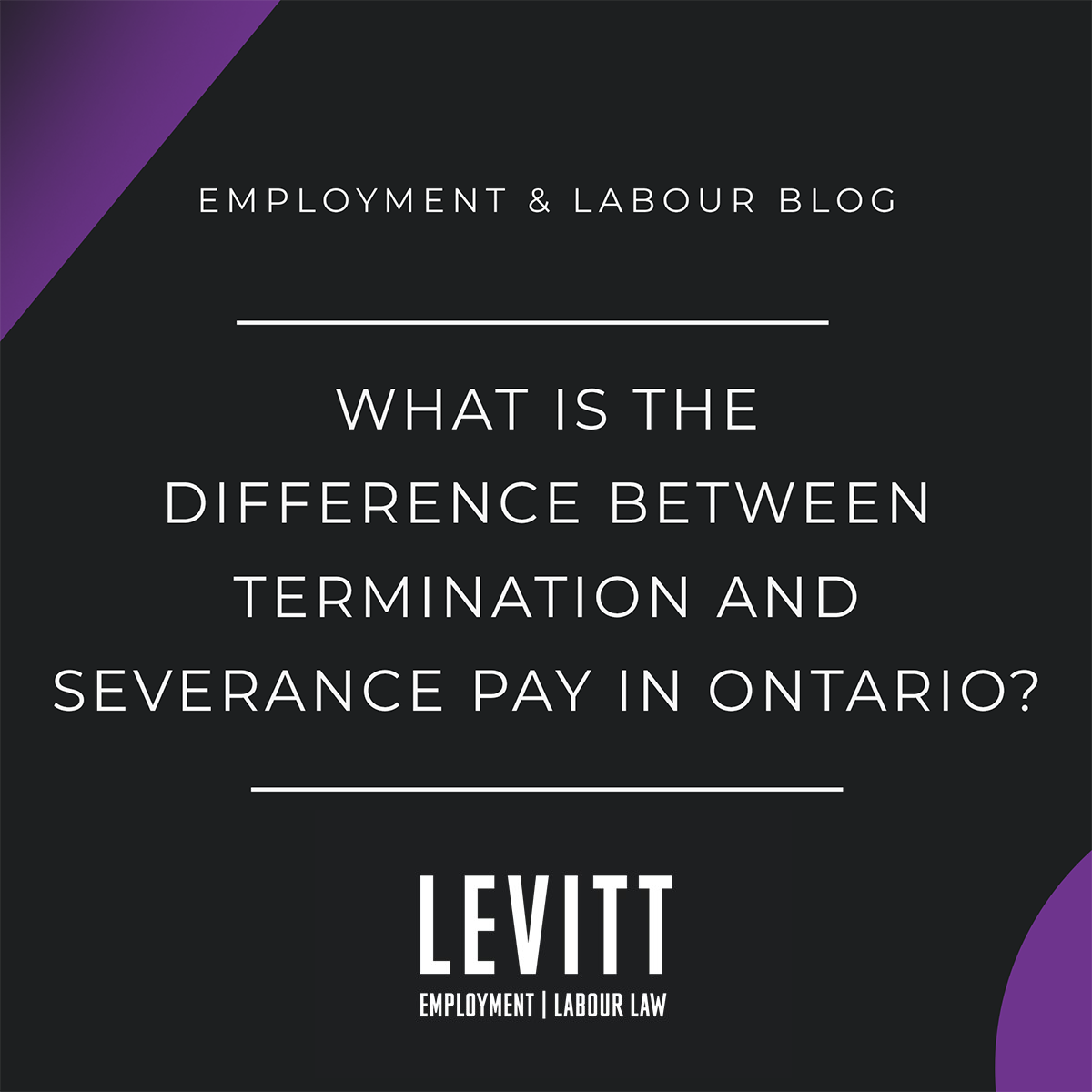 What is the Difference Between Termination and Severance Pay in Ontario? -  Levitt Sheikh Employment & Labour Lawyers