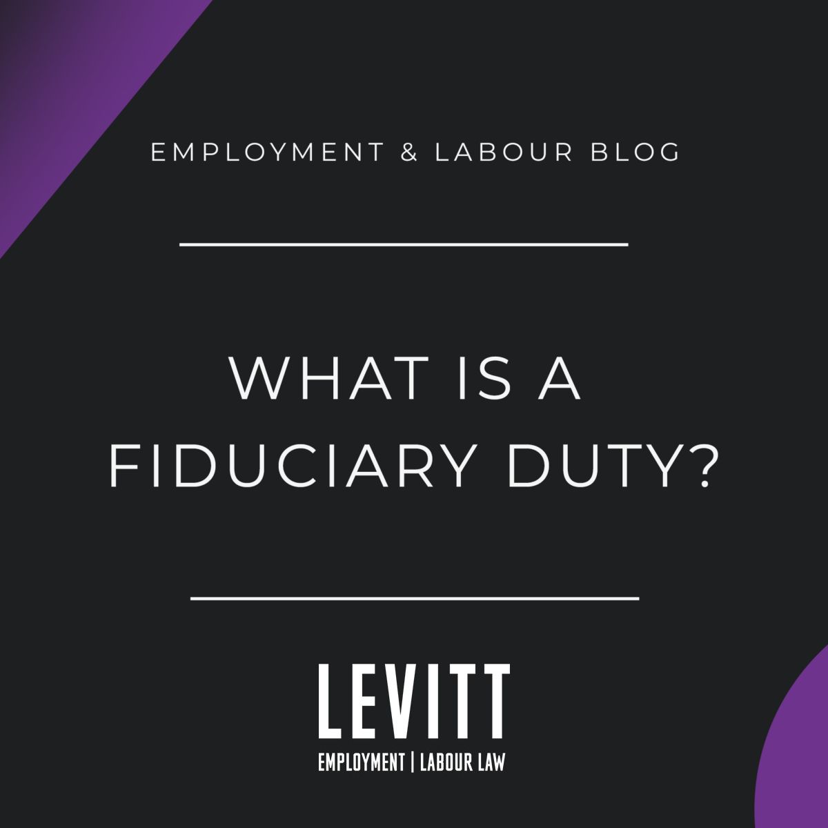 What Is A Fiduciary Duty? - Levitt Sheikh Employment & Labour Lawyers