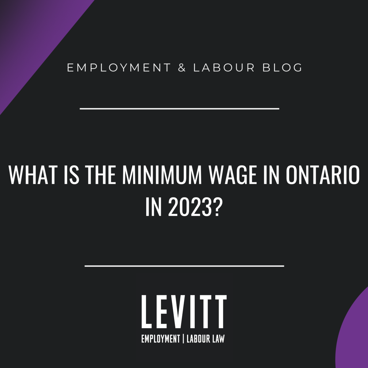 WHAT IS THE MINIMUM WAGE IN ONTARIO IN 2023 Levitt Sheikh Employment   MINIMUMwage2023 1200x1200 